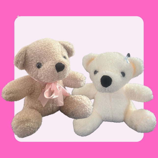 20cm Teddy (Assorted Colours)